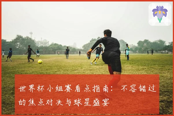 世界杯小组赛看点指南：不容错过的焦点对决与球星盛宴